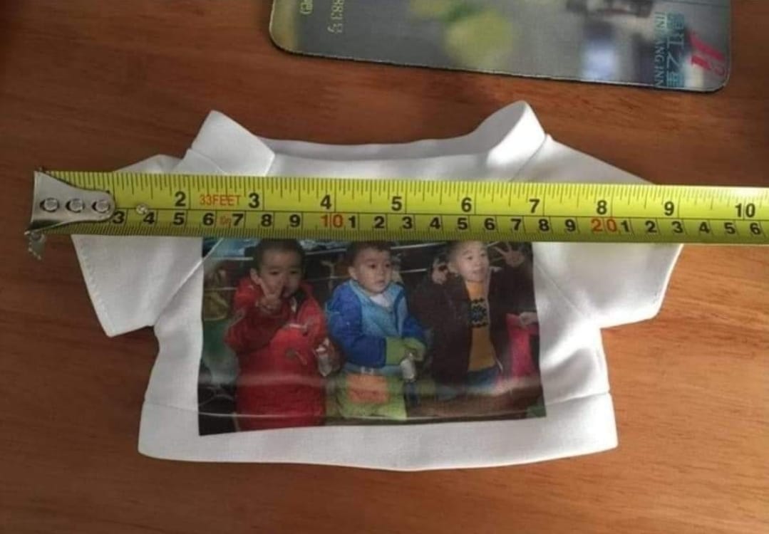 Sublimation Teddy Bear Shirt – Designed for 30cm Bears