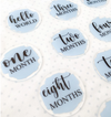 Acrylic Baby Milestone Discs with Custom Vinyl Lettering - Monthly Age Markers and Birth Stats Cards - Sublimation Blanks for Baby Photography Canada