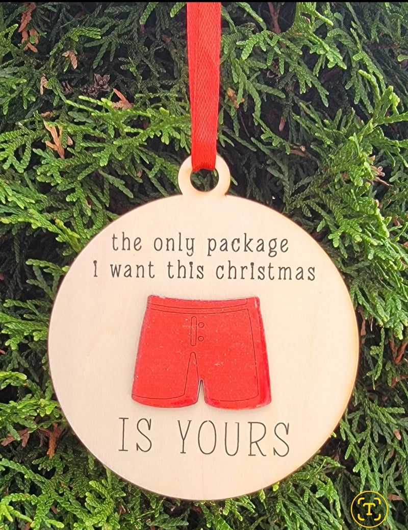 Wooden Package Trunk Christmas Ornament with Red Ribbon - Funny Couples Holiday Ornament Pre-Printed - Romantic Christmas Tree Decoration Canada