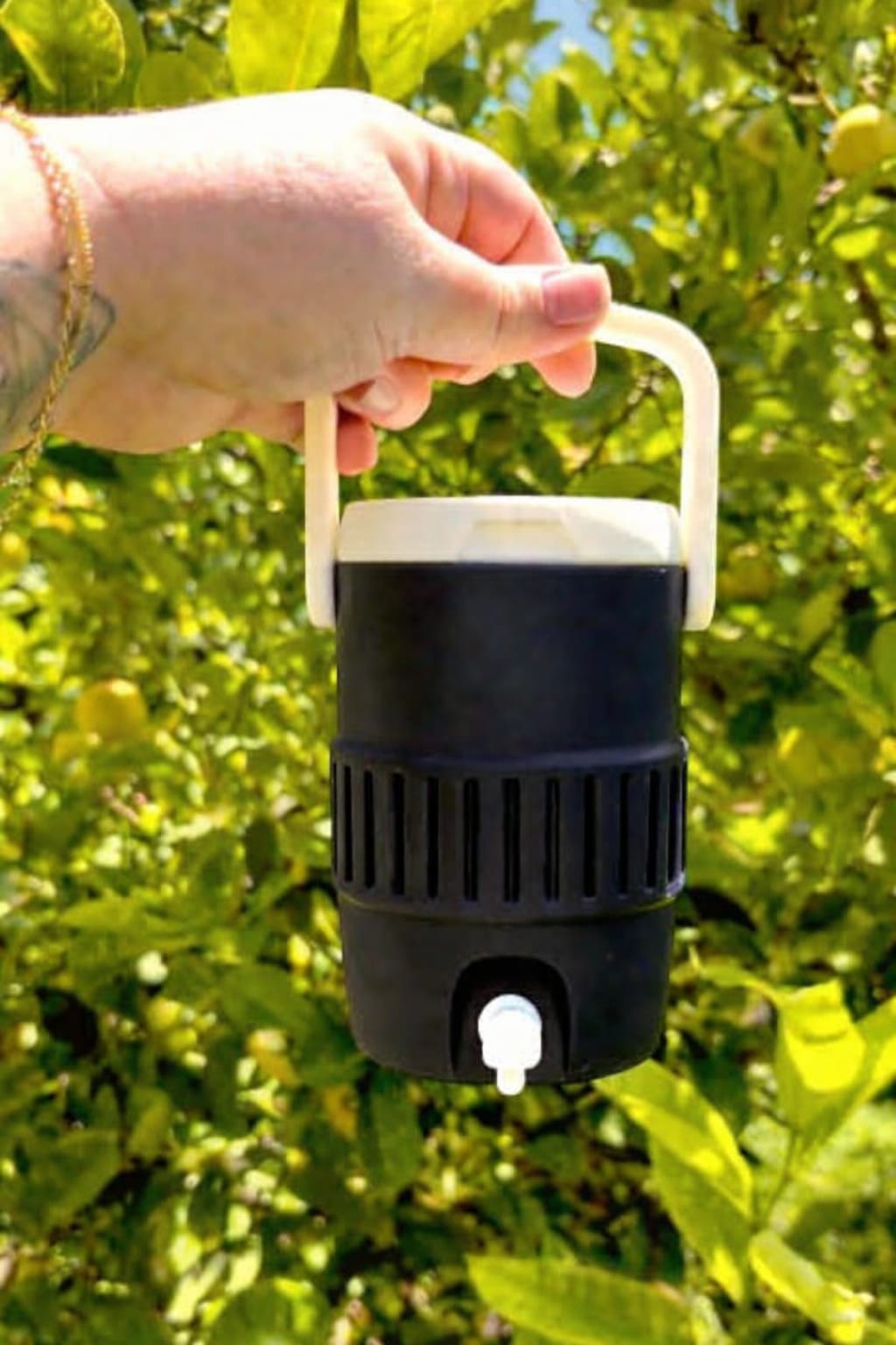 Viral Water jug Can coozie (PRE-ORDER)