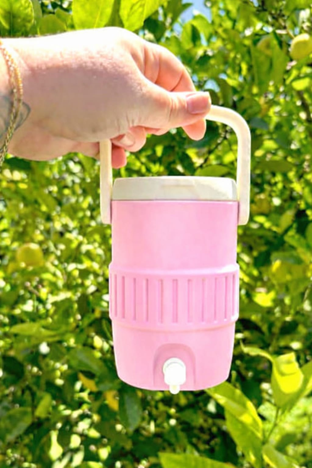 Viral Water jug Can coozie (PRE-ORDER)