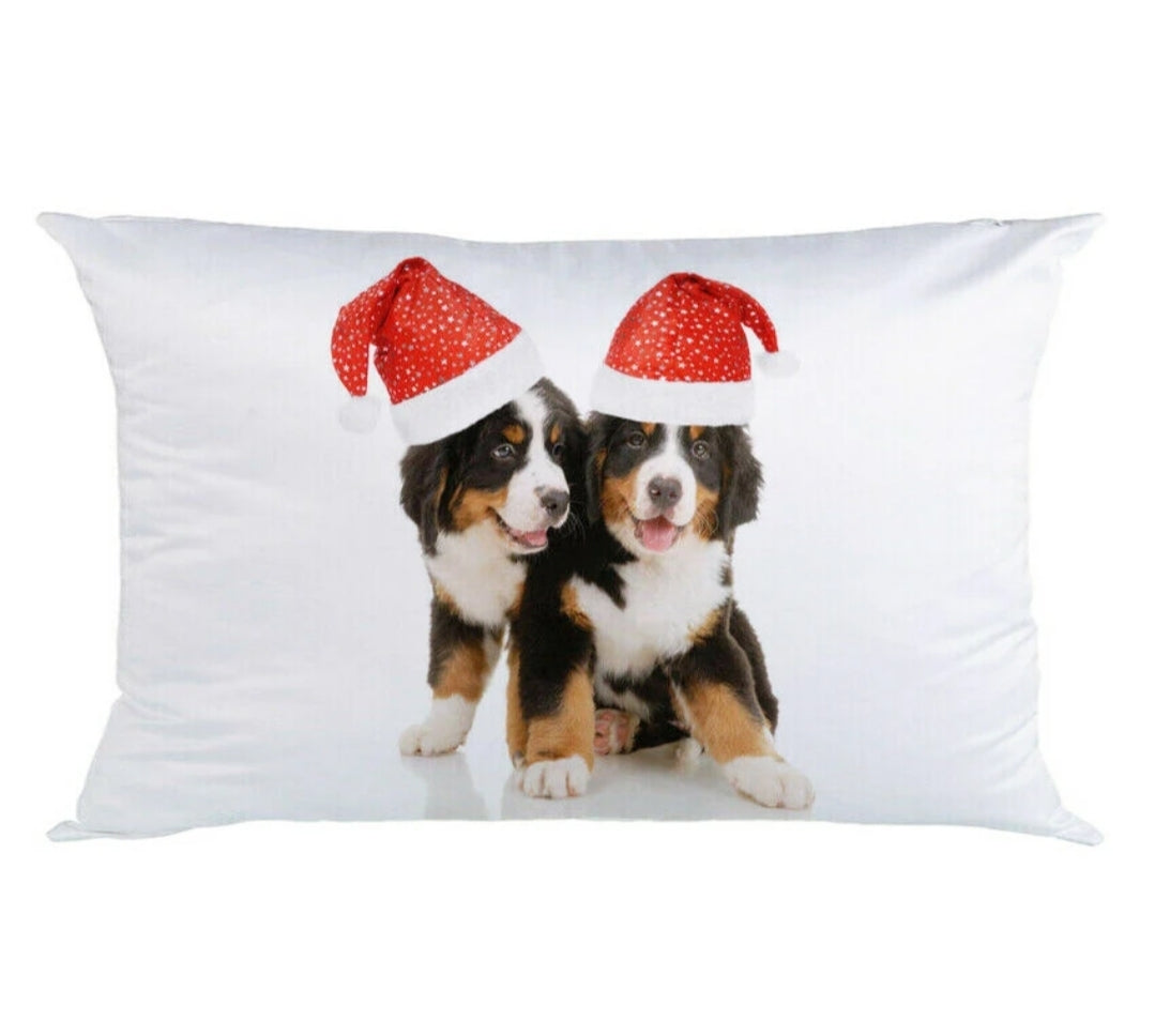 19 x 12 inch rectangle pillow case